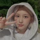 브이티콘 이미지