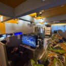 나니아 플스방 이미지