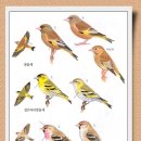 머리방 이미지