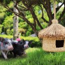 나라축산 이미지