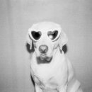 즐거운 클래식기타 (A) 이미지