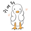 펫시(petsee) 이미지