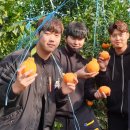 청량농장 이미지