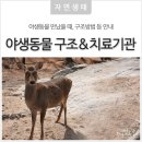 다사랑종합동물병원 | 야생동물을 만났을 때! '대구시 야생동물 구조 및 치료기관'안내