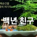 친구처럼B 이미지