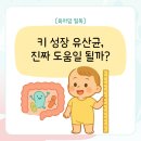 유산균 먹이고 아이 키가 컸다? 믿어도 될까요?