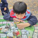 인터넷하나게임둘 | 곤충 주사위 게임 후기, 곤충 보드게임 한판하니까 주말 순삭