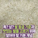 쌀 등급 기준 및 좋은 쌀 고르기 위해 알아야 할 기본 개념