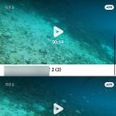 보라카이 3 :: 내돈내산 에스보라카이 스쿠버다이빙 + 제트스키 타는 호핑투어 + 호핑 후 어지러움...