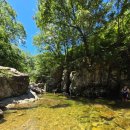 미쎄스왕돈까스앤드분식 | 울산 덕신 밥집 온산읍 미쎄스왕돈까스앤드분식
