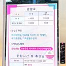 홍천 아이랑 가볼만한곳 과학을 온몸으로 즐기는 생명건강과학관 리얼 후기