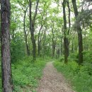 비학산 누리길 이미지