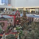 백년백세 이미지