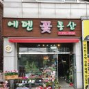에덴꽃동산 - 남동구 호구포로 532 | 오목천동 꽃집 추천 전국 꽃배달을 무료로 해주는 곳 에덴꽃동산 리시안 구매후기