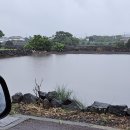 표선리-33 이미지