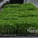 강화농산물판매장 이미지