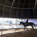 퀸즈승마장 이미지