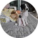 아요하우스 이미지