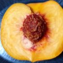 백천농장 이미지