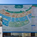 봉화 | 경북 축제 2025 봉화 은어 축제 방문 후기 기본정보