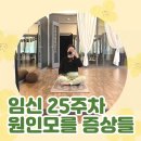 지에스25 달서월드마크점 | [임신 25주차] 7개월 임산부 돌입🤰🏻알 수 없는 임산부의 몸. 오른쪽으로 누워서 자도 될까?