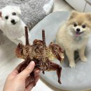 몰래멍냥 이미지