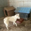 호구농장 이미지