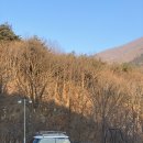 이가락 이미지