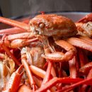 동해안 붉은 대게 이미지