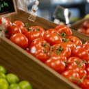 아카데미 빌리지 이미지