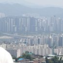 사자공인중개사사무소 이미지