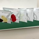 드립커피 추천 손탁커피 - 홍천 잣, 오미자, 쌀 로컬 드립백과 손탁커피 드립백 후기
