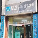 웰킨두피탈모센터 전주점 네이버블로그