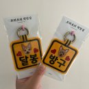 브라보의작업실 이미지