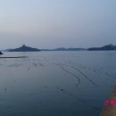 진도모터스 이미지