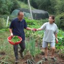 박세인 농장 이미지