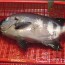 유달식당 이미지