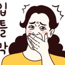 이신시스템 이미지