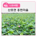 산포홍련마을 이미지