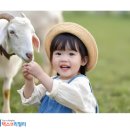 택스앤리얼티세무사 이미지