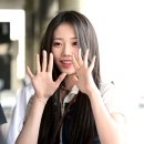 몬스터프리 이미지