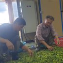 강우농장 이미지