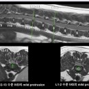 다솜동물메디컬센터 금정점 이미지
