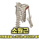 짐라이언피트니스 수내역점 이미지