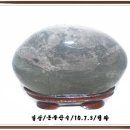 일광칼라