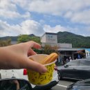 별마로버섯