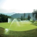 타니스테이 이미지