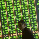 새로운 '9개 국가 규정' 발표로 중국 증시 급락, 투자자들 애도 이미지
