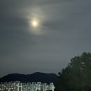 동천동 구수교 이미지