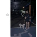 멍티처 네이버블로그